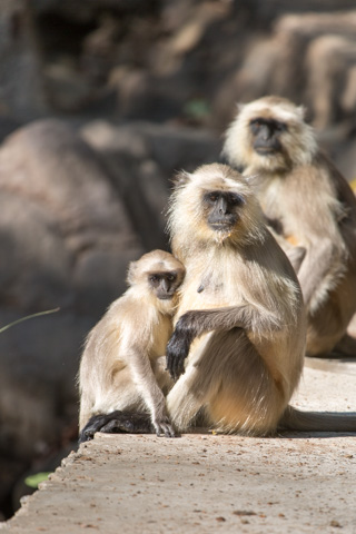 india2015