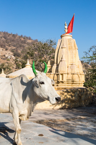 india2015