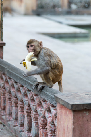 india2015