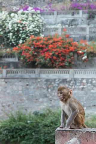 india2015