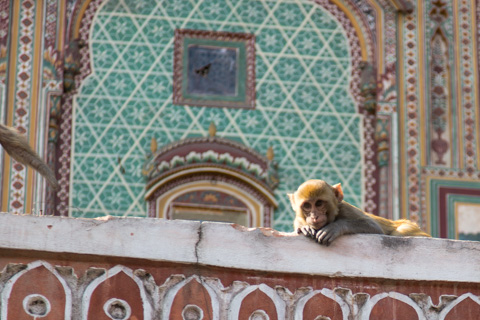 india2015