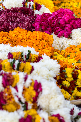 india2015