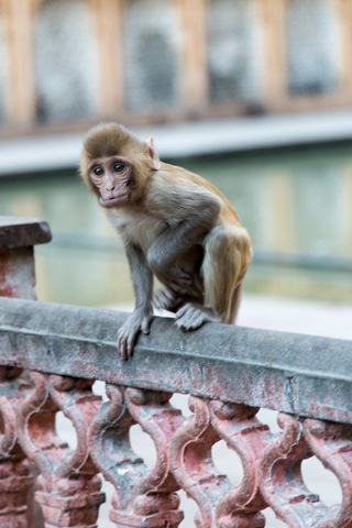 india2015