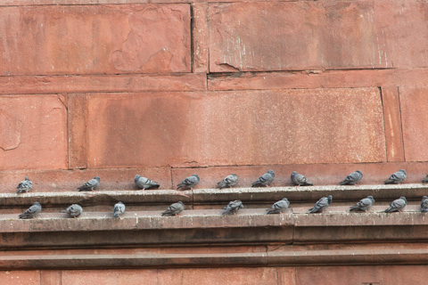india2015