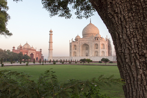india2016