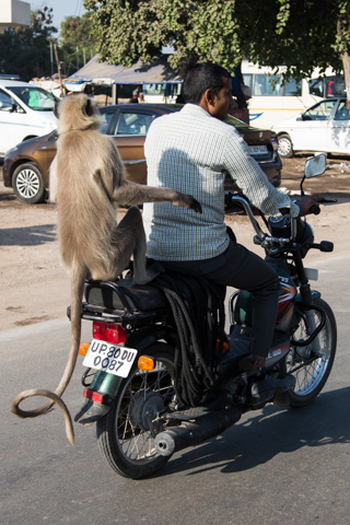india2016