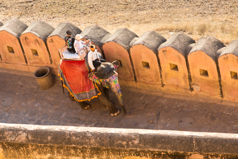 india2016