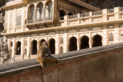 india2016