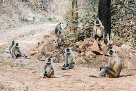 india2016