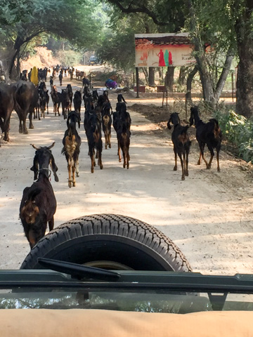 india2016