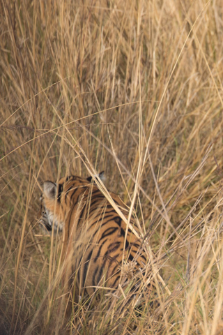 india2016