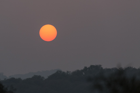 india2016