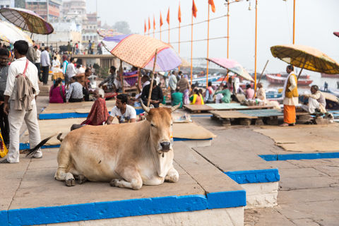india2016