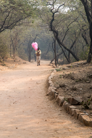 india2016