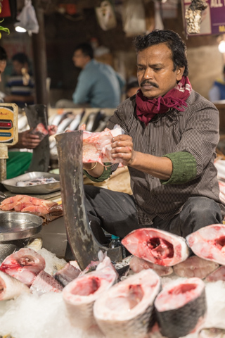 india2017