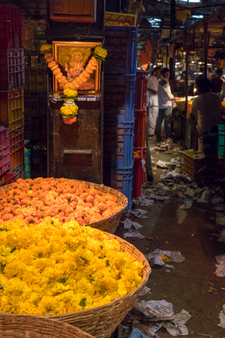 india2017