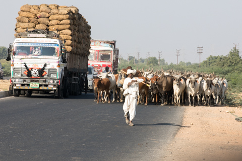india2017