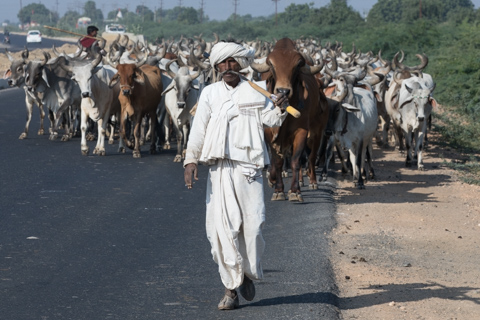 india2017