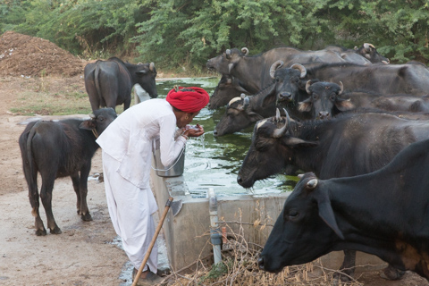 india2017