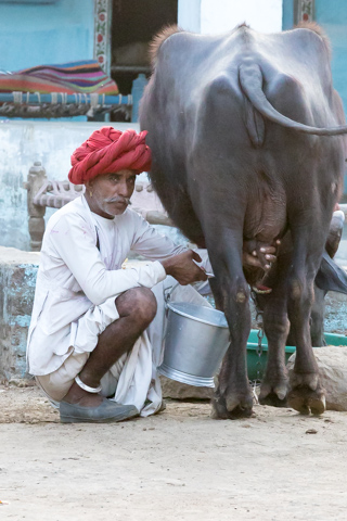 india2017