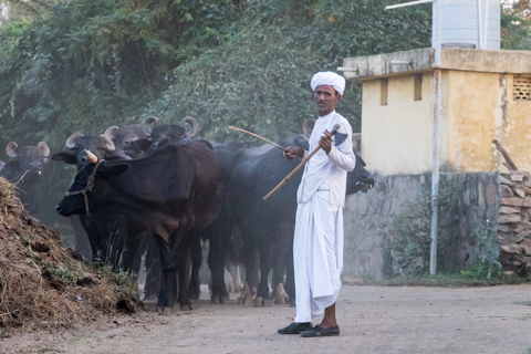 india2017