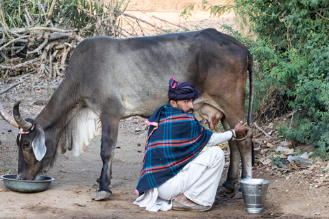india2017