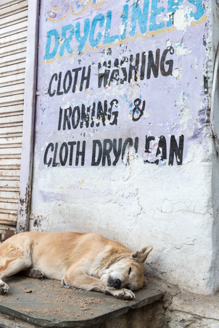 india2017