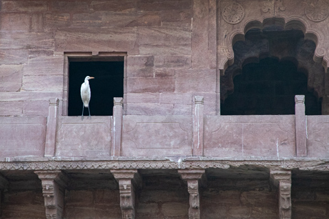 india2018