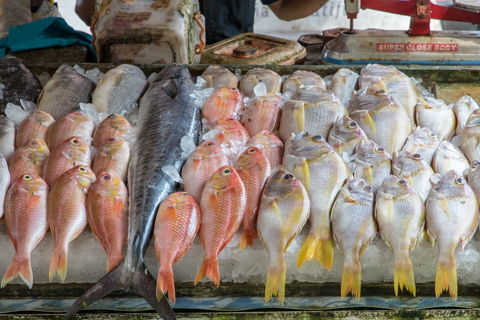 india2018