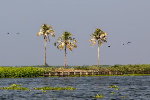 india2018