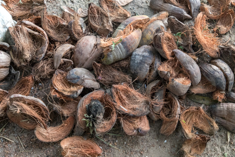 india2018