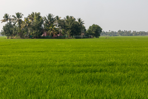 india2018