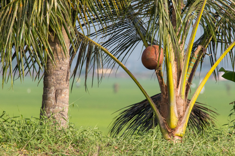 india2018