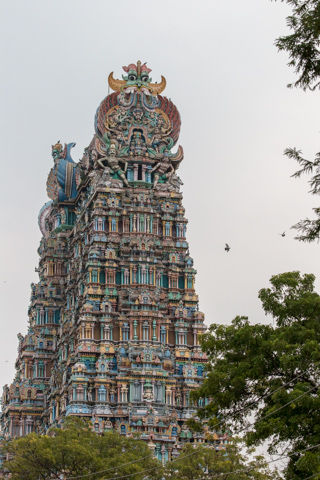 india2018