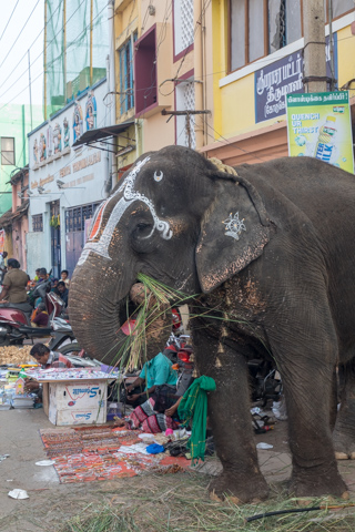 india2018