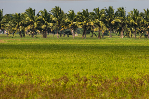 india2018