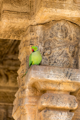 india2018
