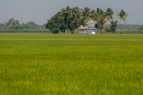 india2018