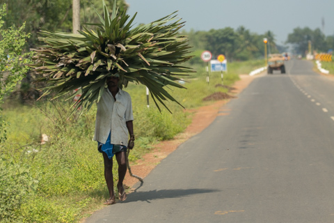 india2018