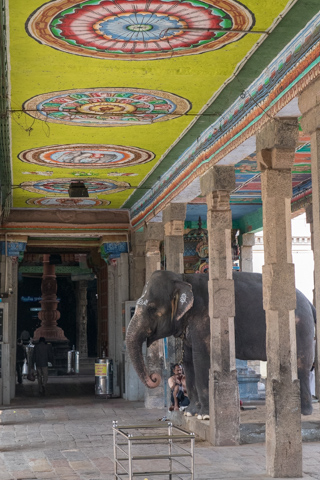 india2018