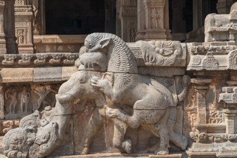 india2018