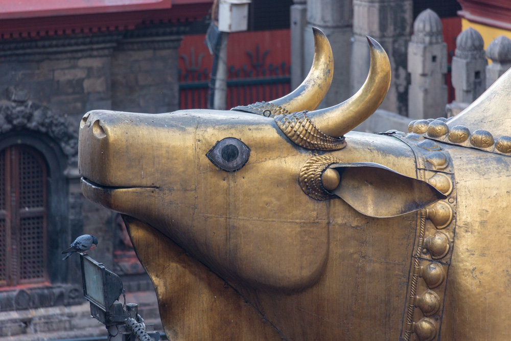 india2019
