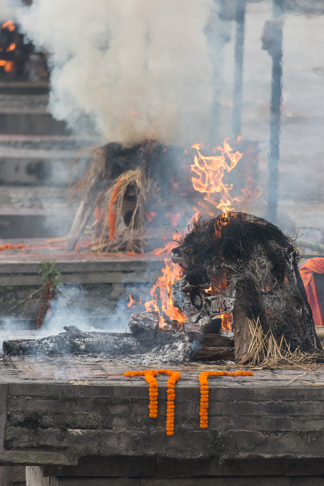 india2019