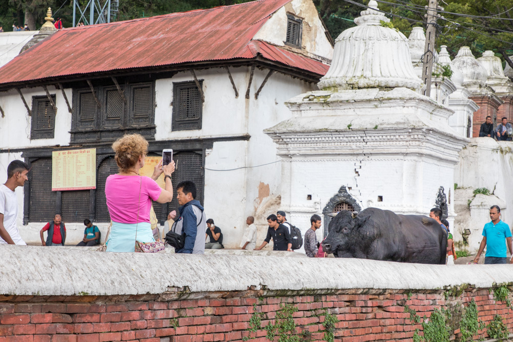 india2019