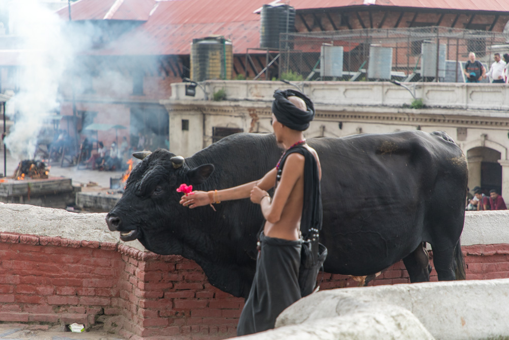 india2019