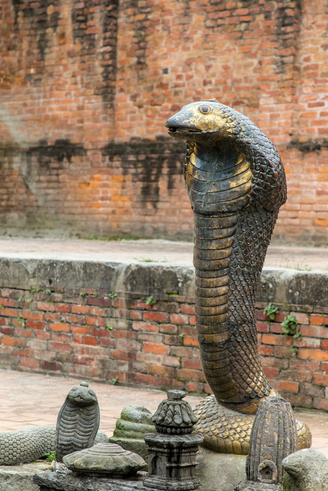 india2019