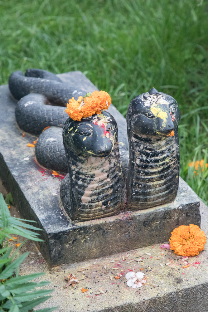 india2019