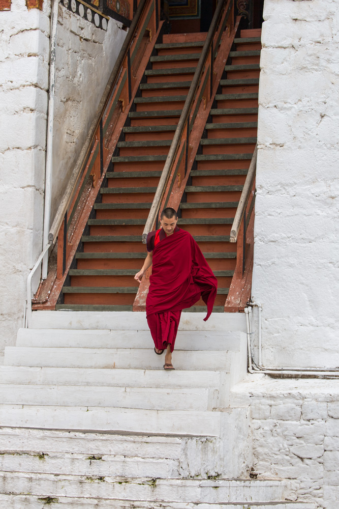 india2019