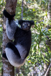 Madagascar 2022