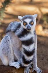 Madagascar 2022